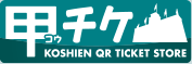 甲チケ